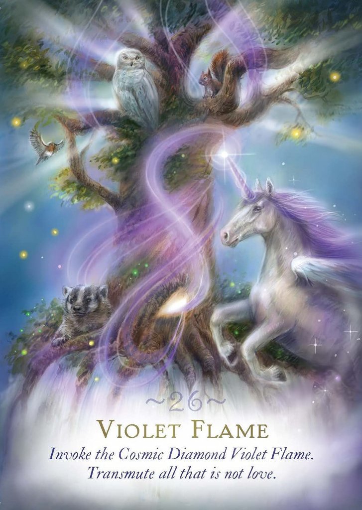 The magic of unicorns 71nouvthgal