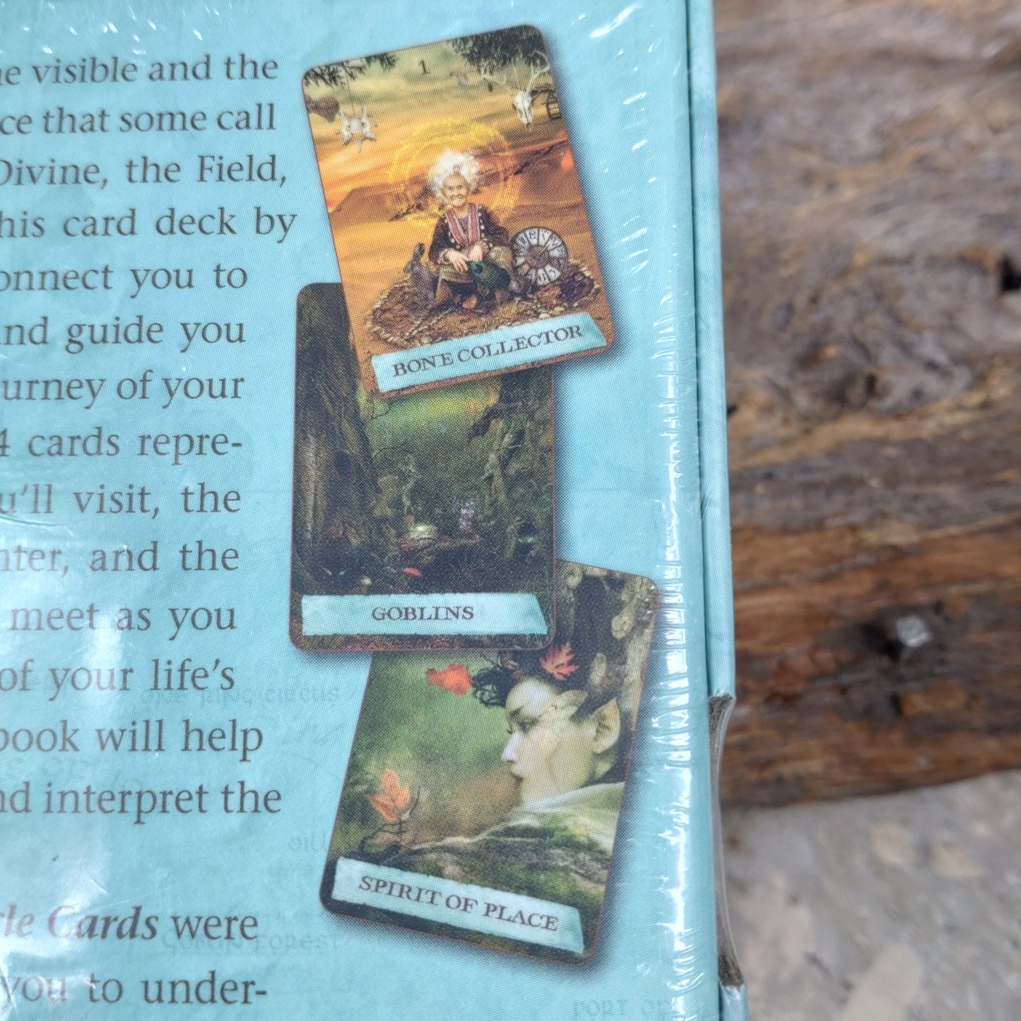 Enchanted map Oracle cards DSC-4714