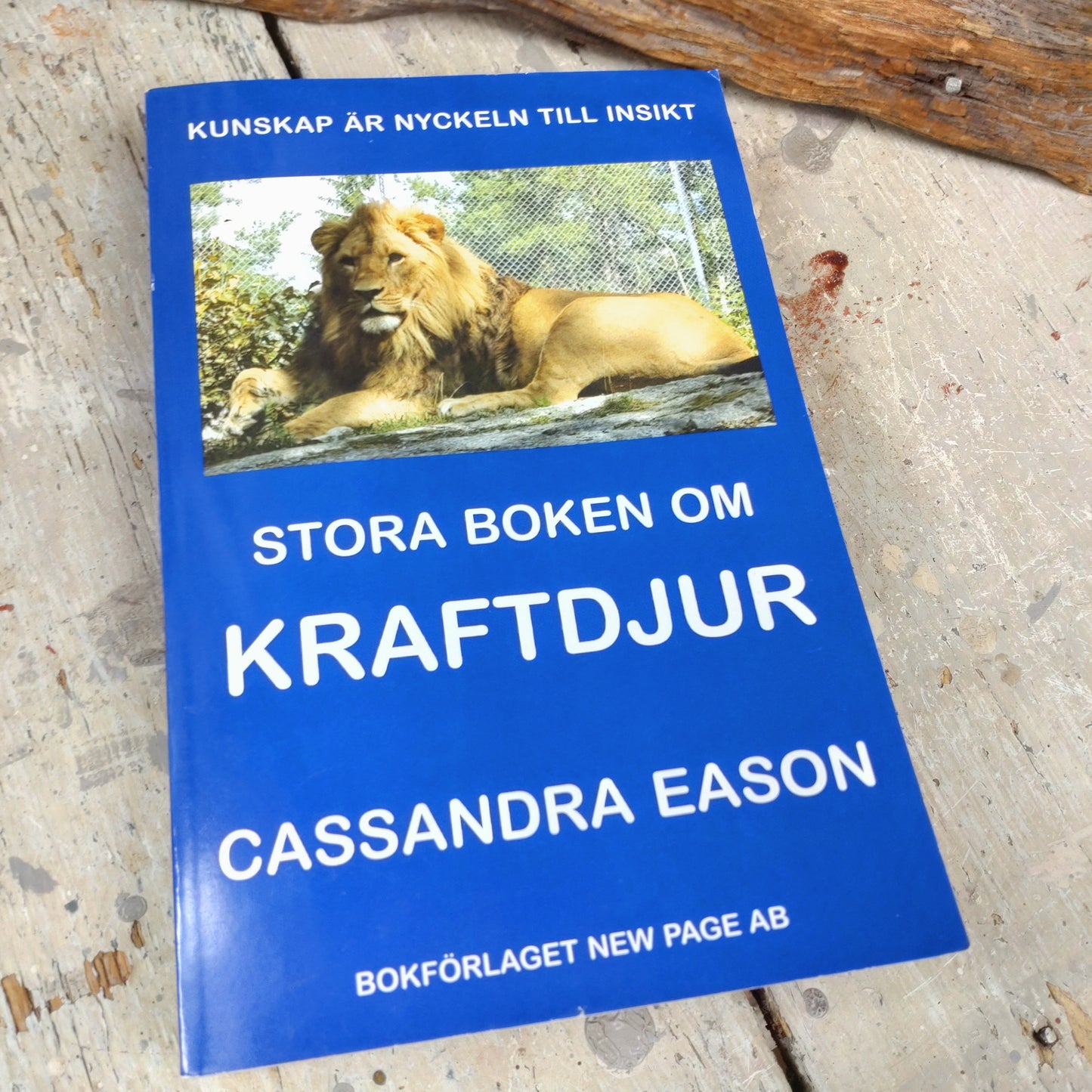 Stora boken om kraftdjur av Cassandra Eason DSC-4763