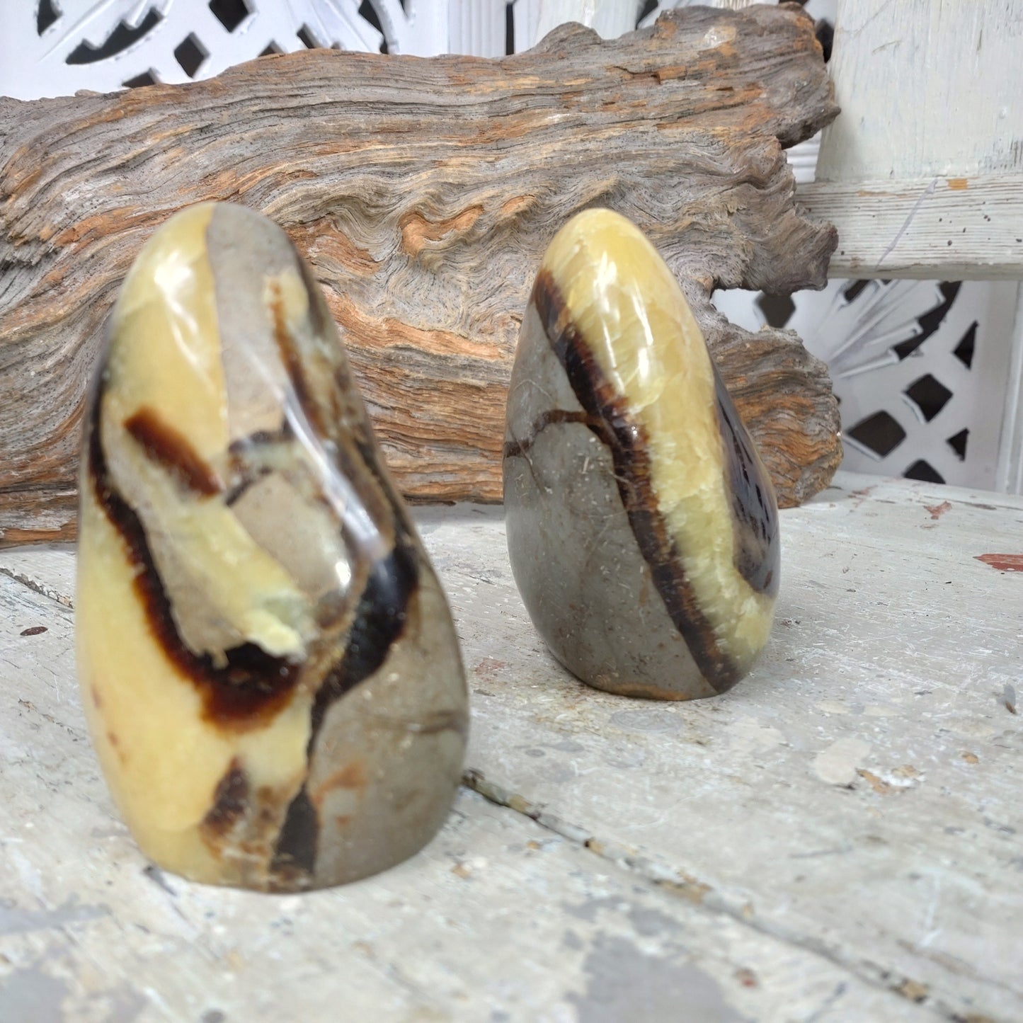Septarian Drakägg friform DSC-5213