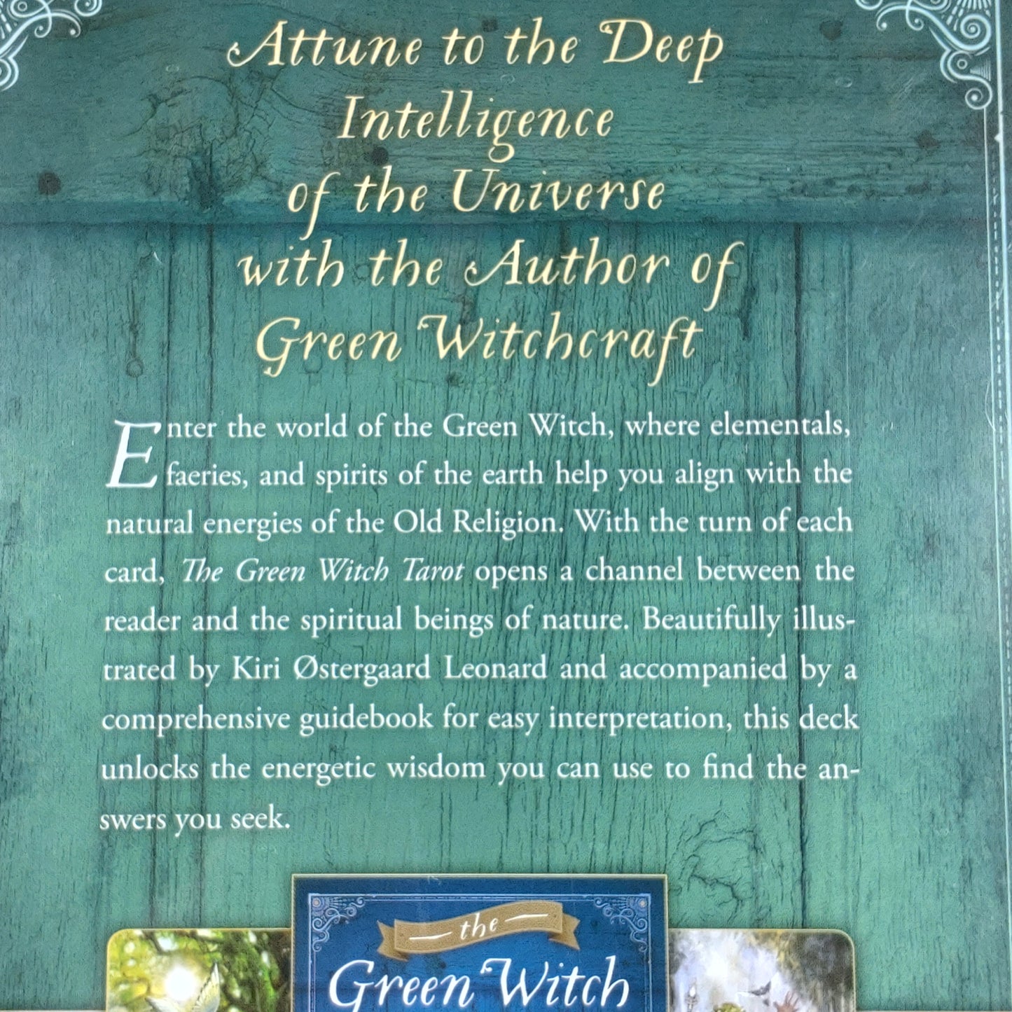 The green witch tarot DSC-5351