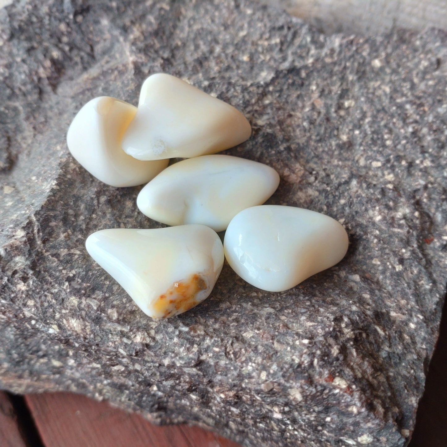 Opal vit