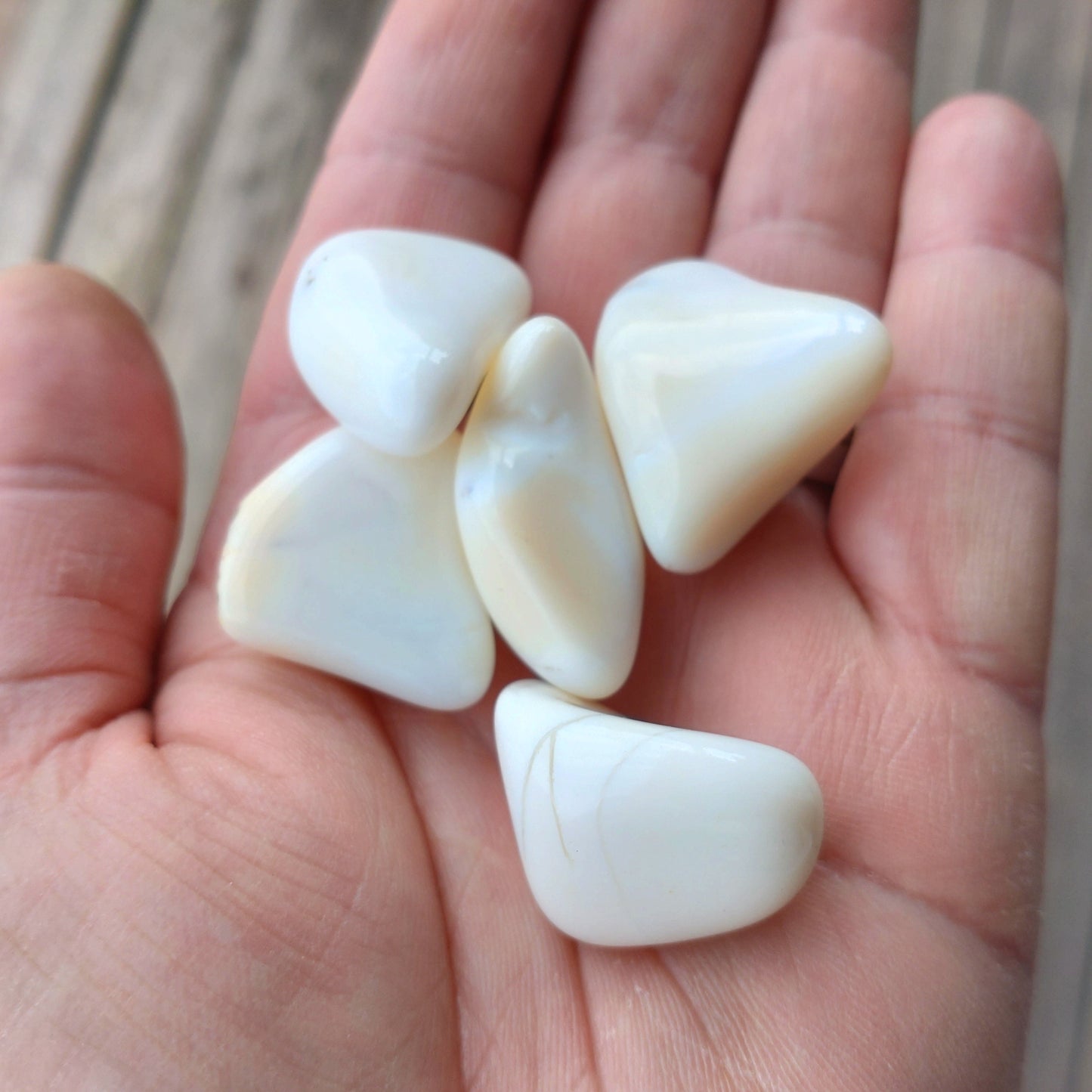 Opal vit