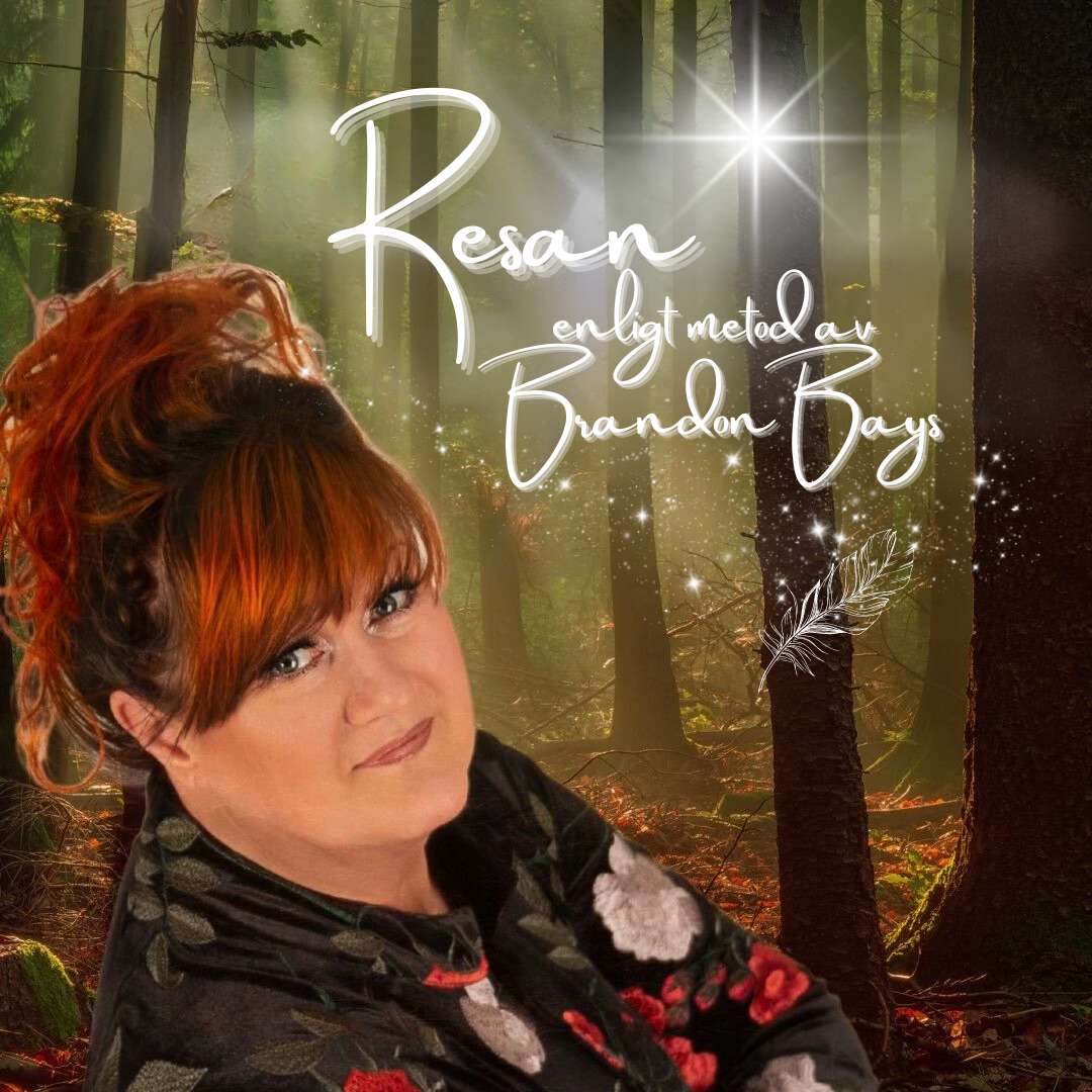 RESAN - vägen till sann frihet (metod av Brandon Bays) Resan Vägledning