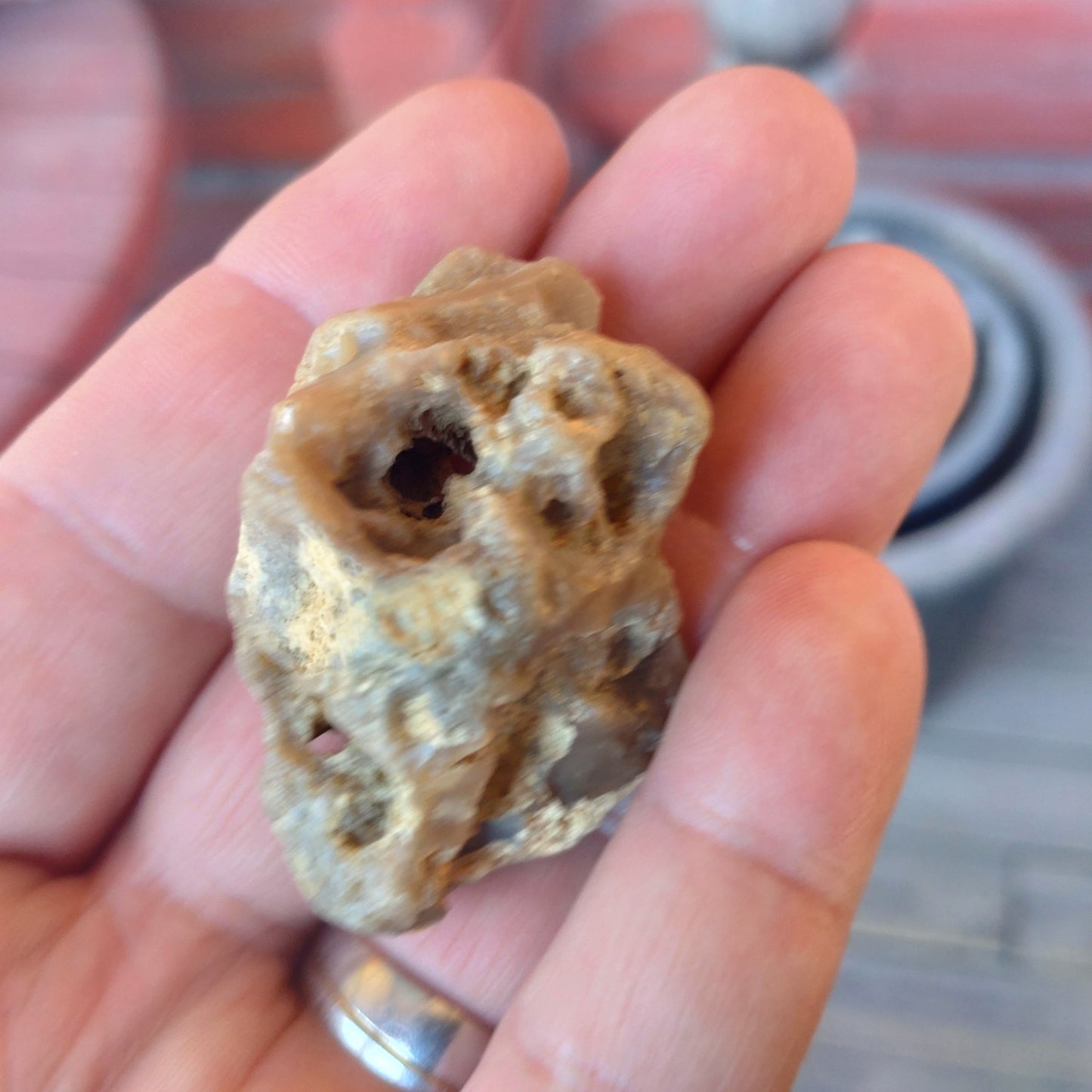 Äkta Häxsten/Hag stone i Flinta