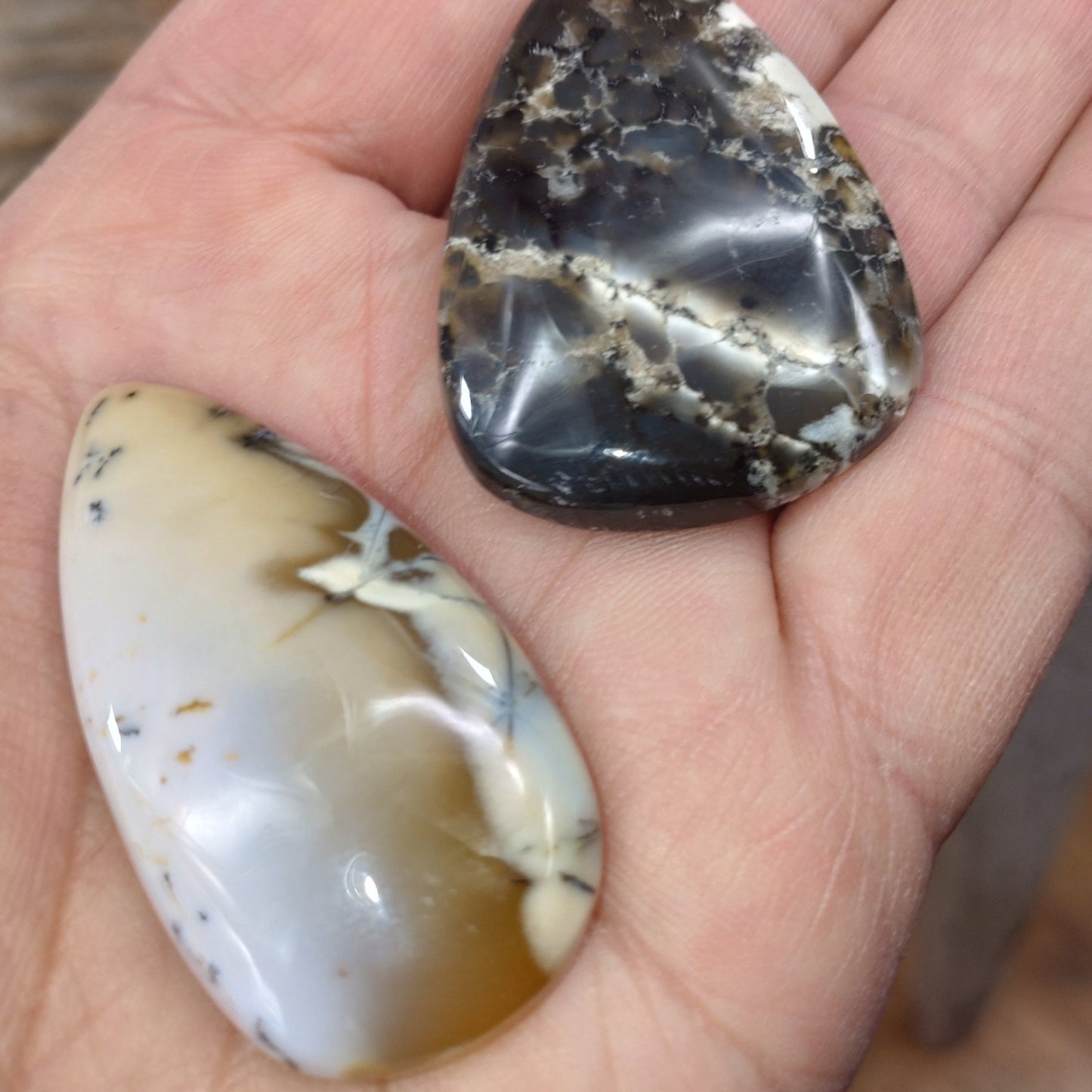 Dendritisk Opal cabochon