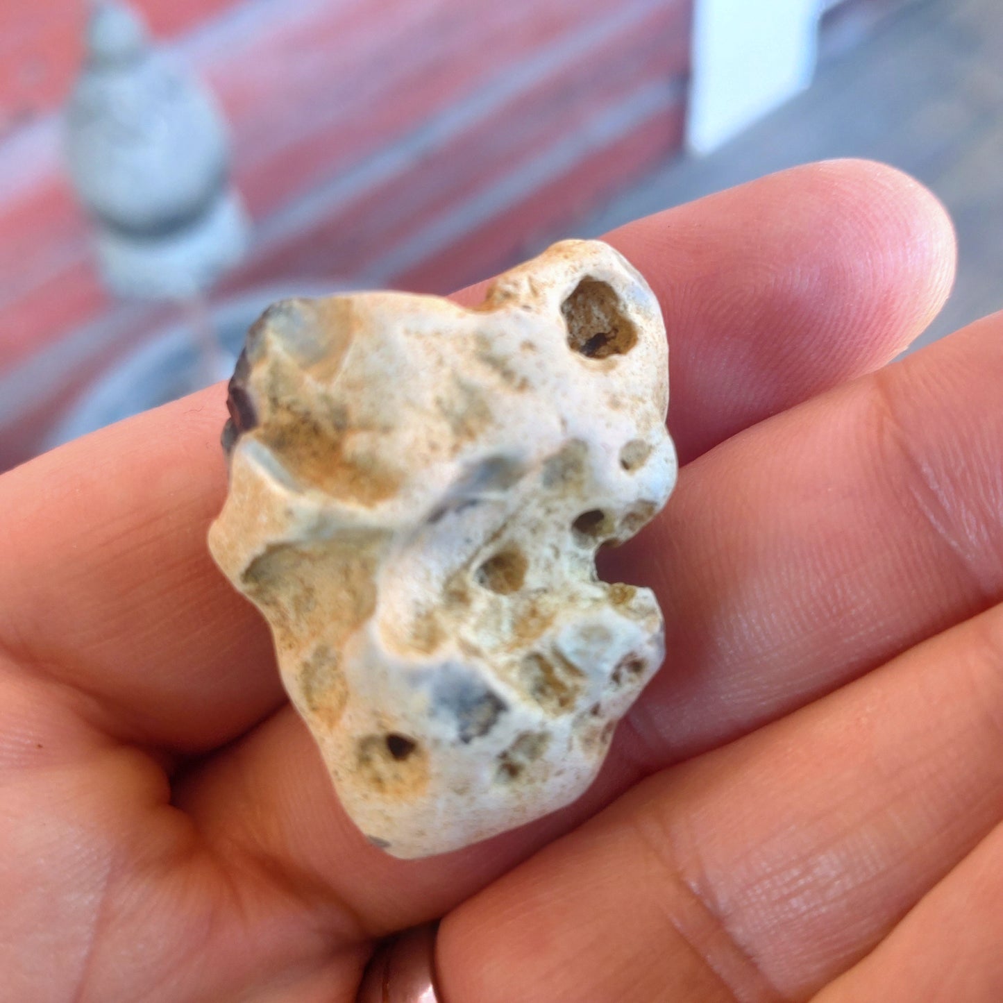 Äkta Häxsten /Hag stone i Flinta