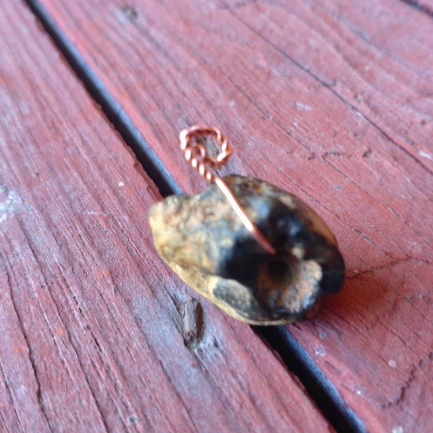 Äkta Häxsten Hag stone i Flinta (Hänge)
