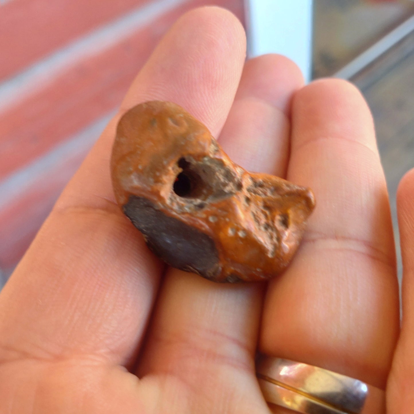 Äkta Häxsten/Hag stone i Flinta