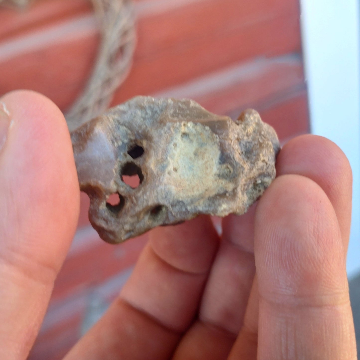 Äkta Häxsten/Hag stone i Flinta