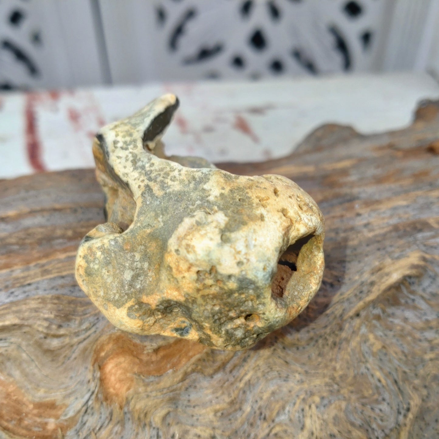 Äkta Häxsten/Hag stone i Flinta .