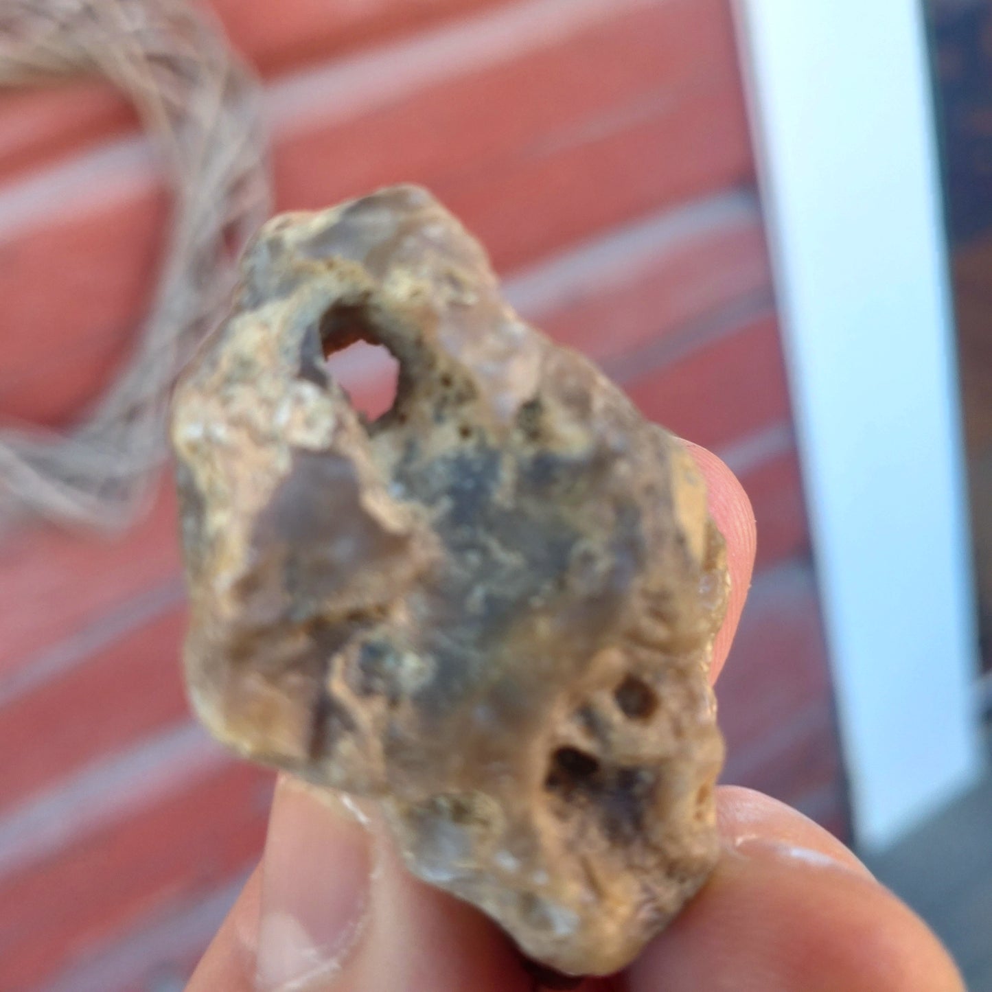 Äkta Häxsten/Hag stone i Flinta