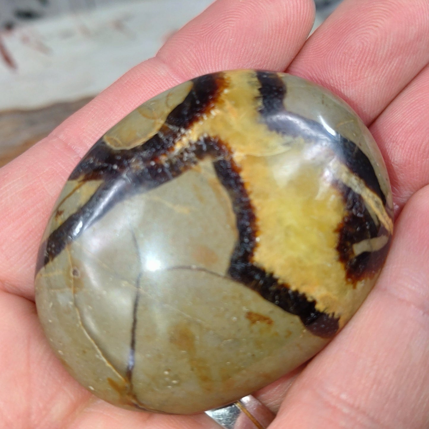 Septarian Handsten ✨