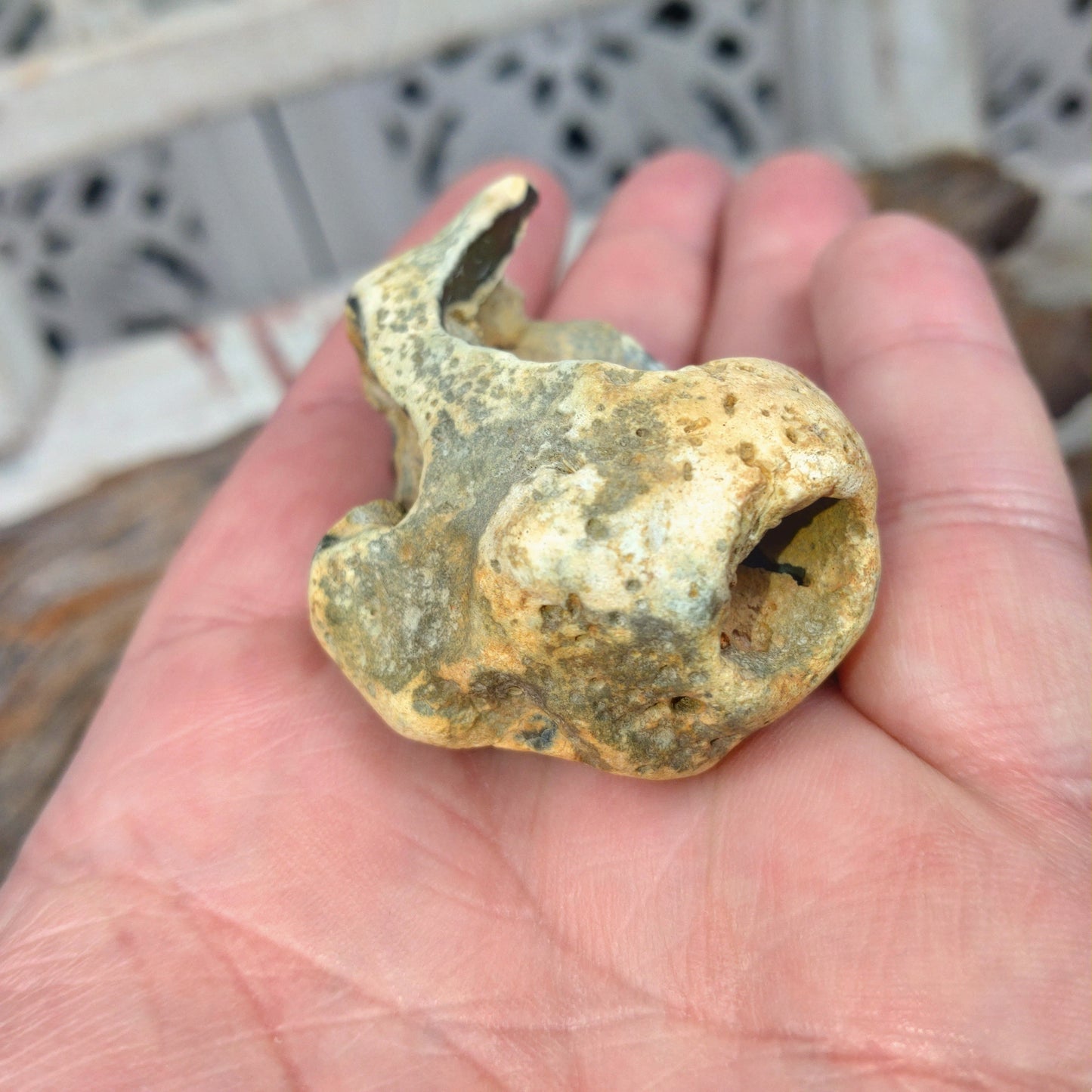 Äkta Häxsten/Hag stone i Flinta .