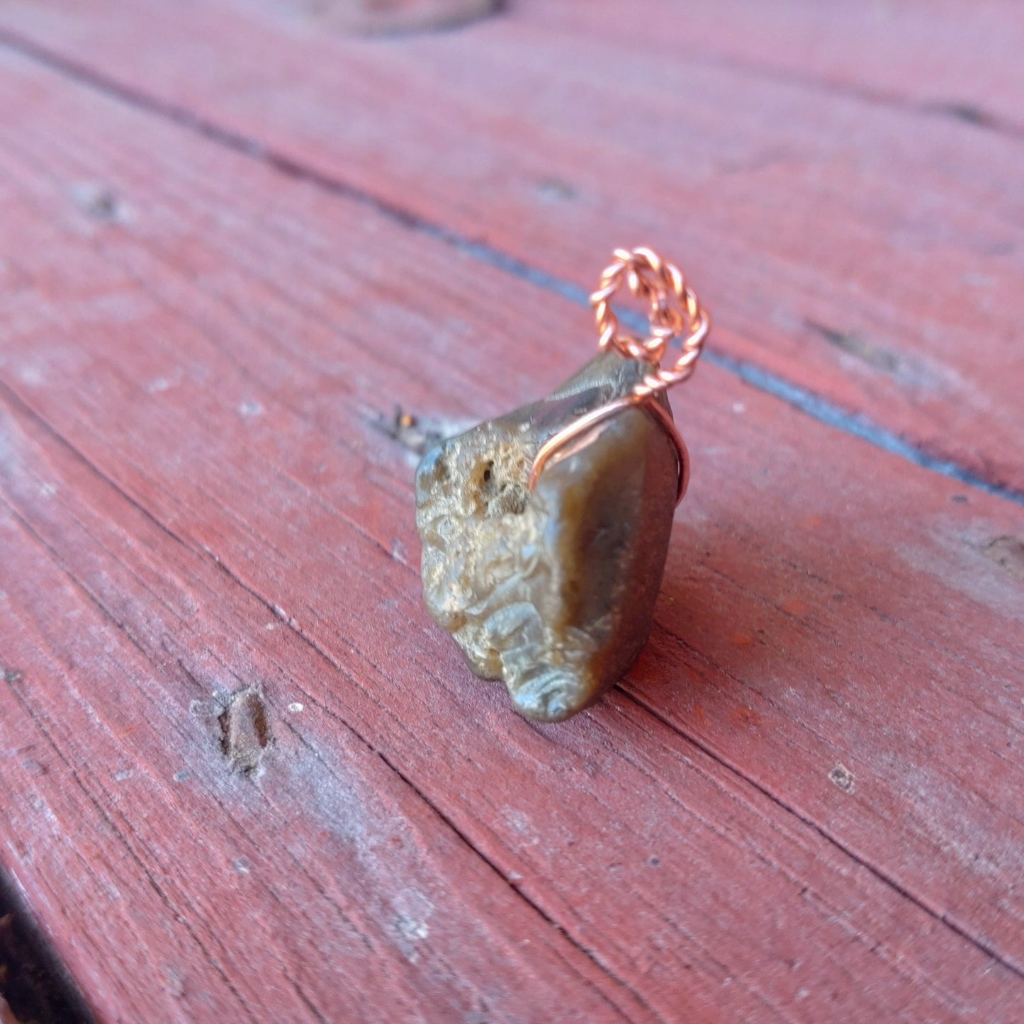 Äkta Häxsten Hag stone i Flinta (Hänge)
