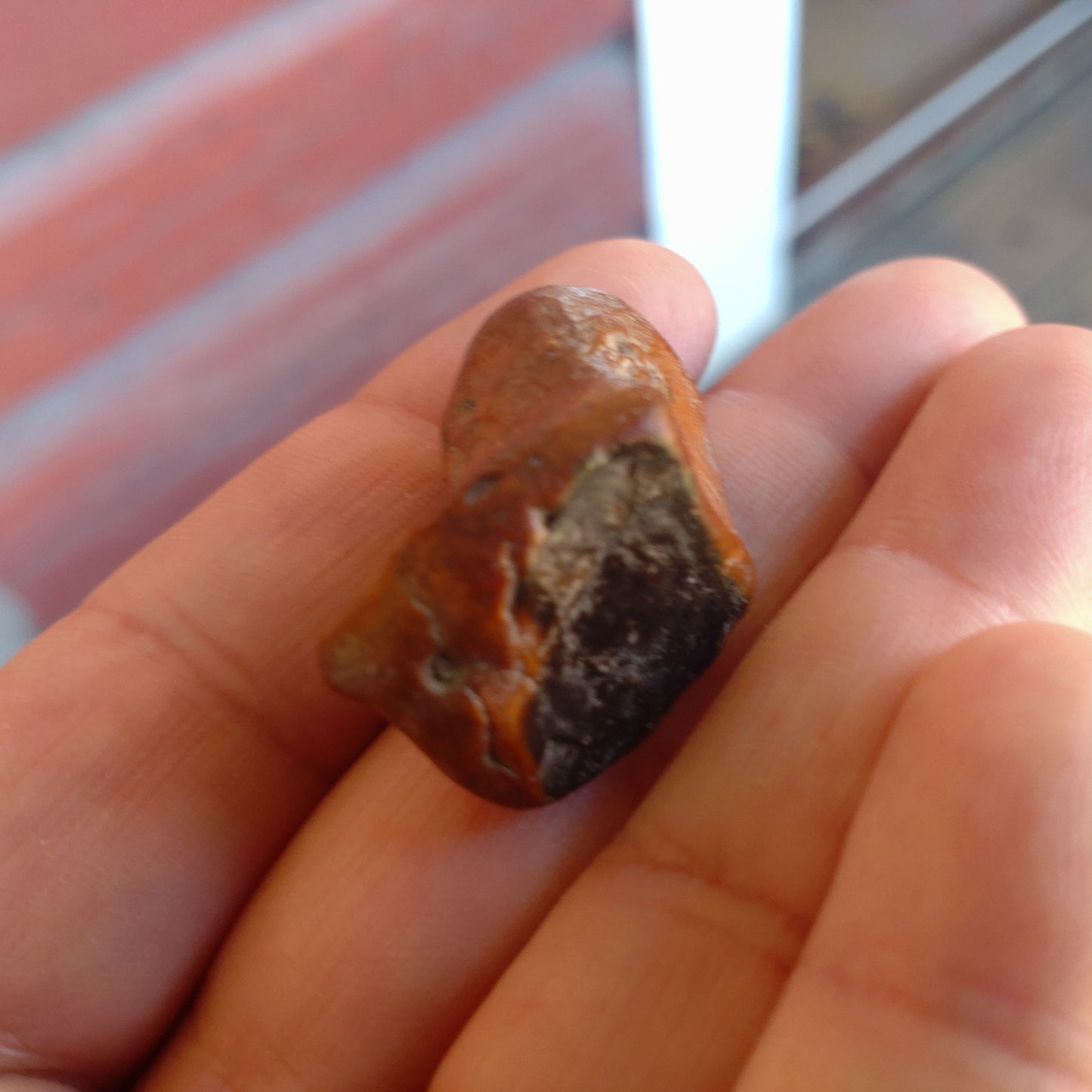 Äkta Häxsten/Hag stone i Flinta