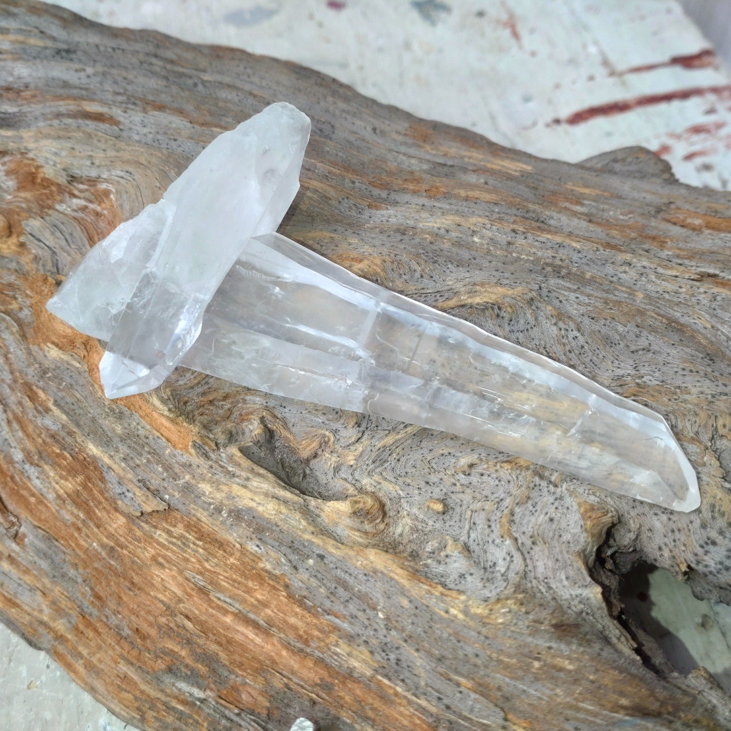 Laserspets (Lemurian) DSC-3642