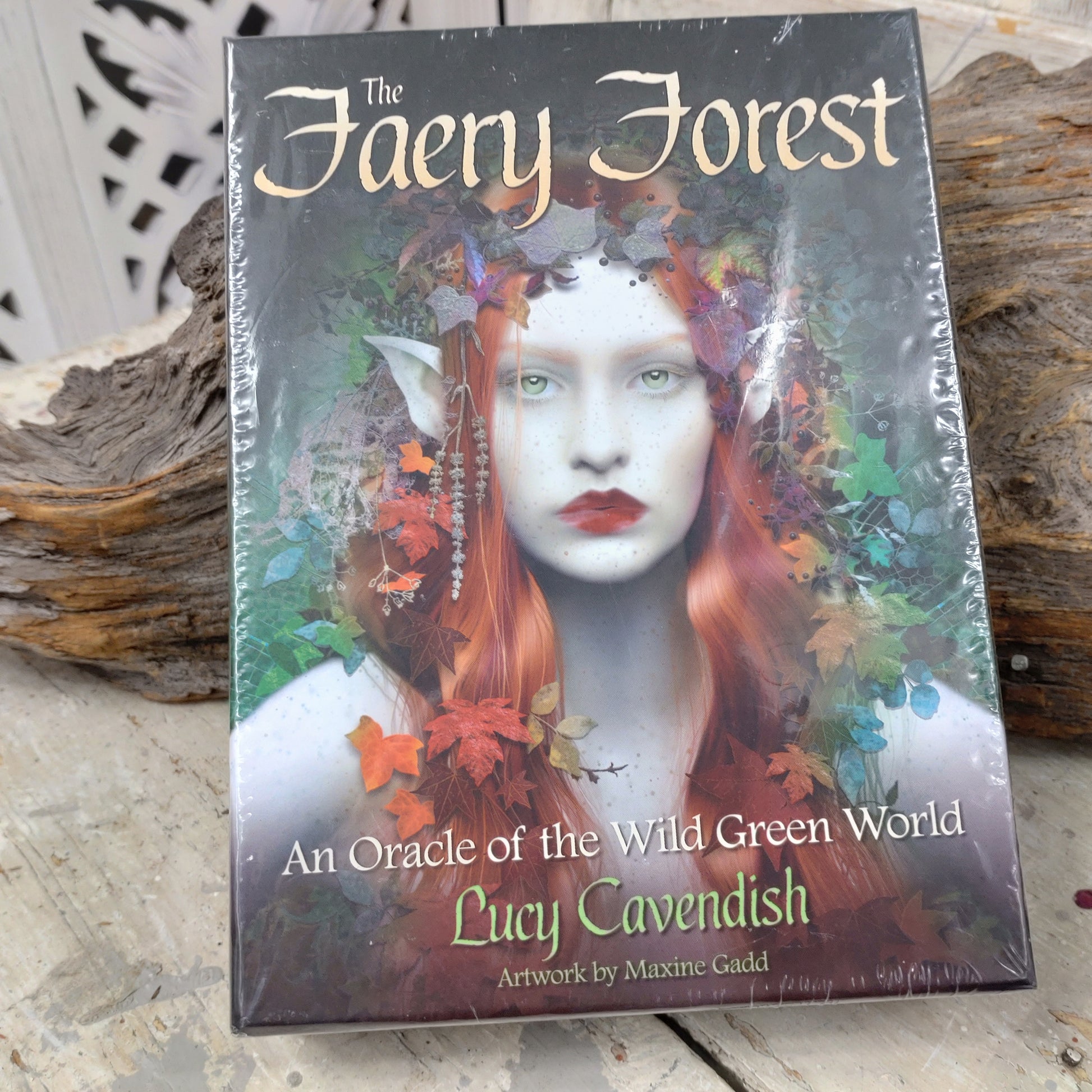 The faery forest DSC-4129