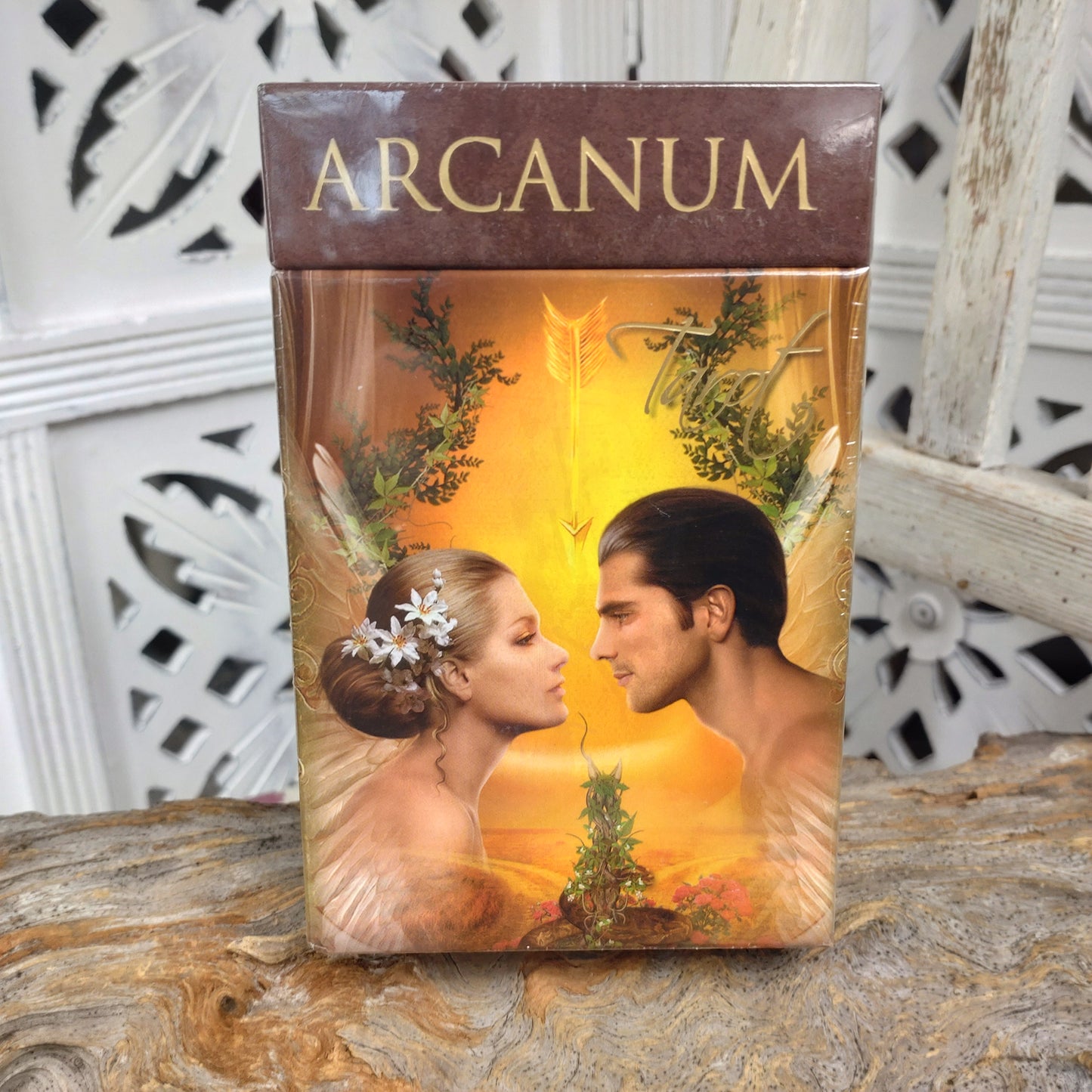 Arcanum tarot DSC-4659