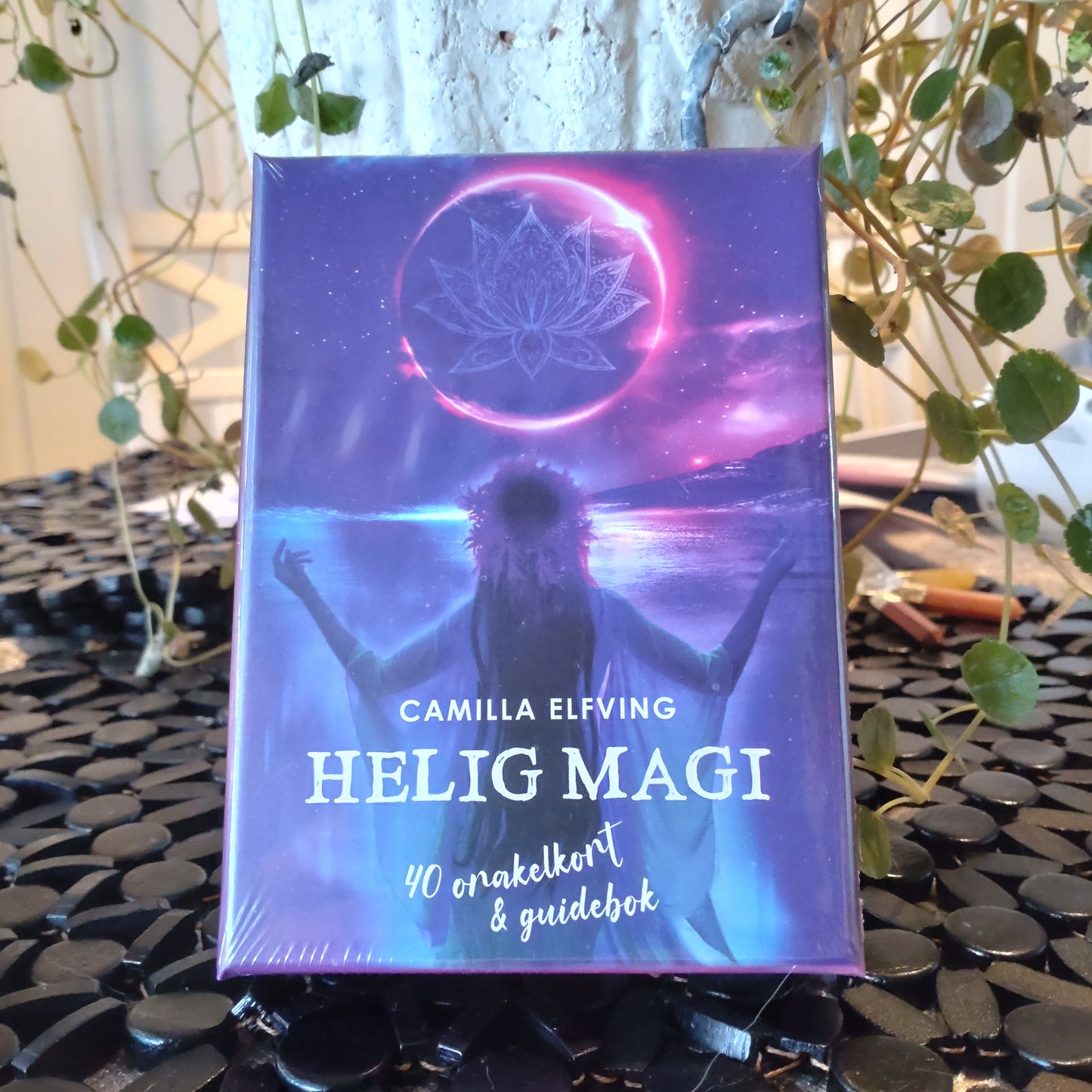 Helig magi DSC-4668