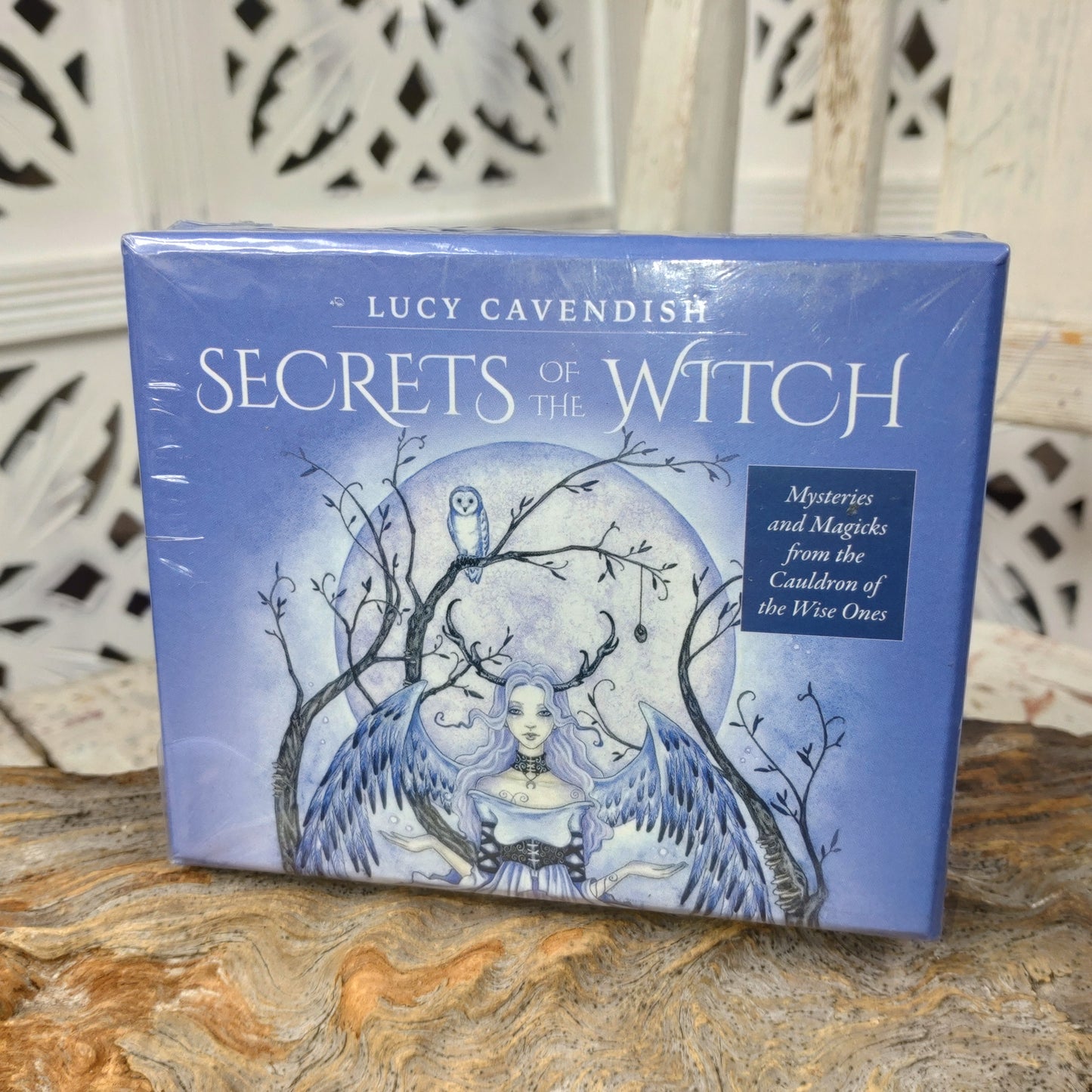 Secrets of the Witch affirmation cards. Mysteries and Magicks from the Cauldron of the Wise Ones DSC-4688