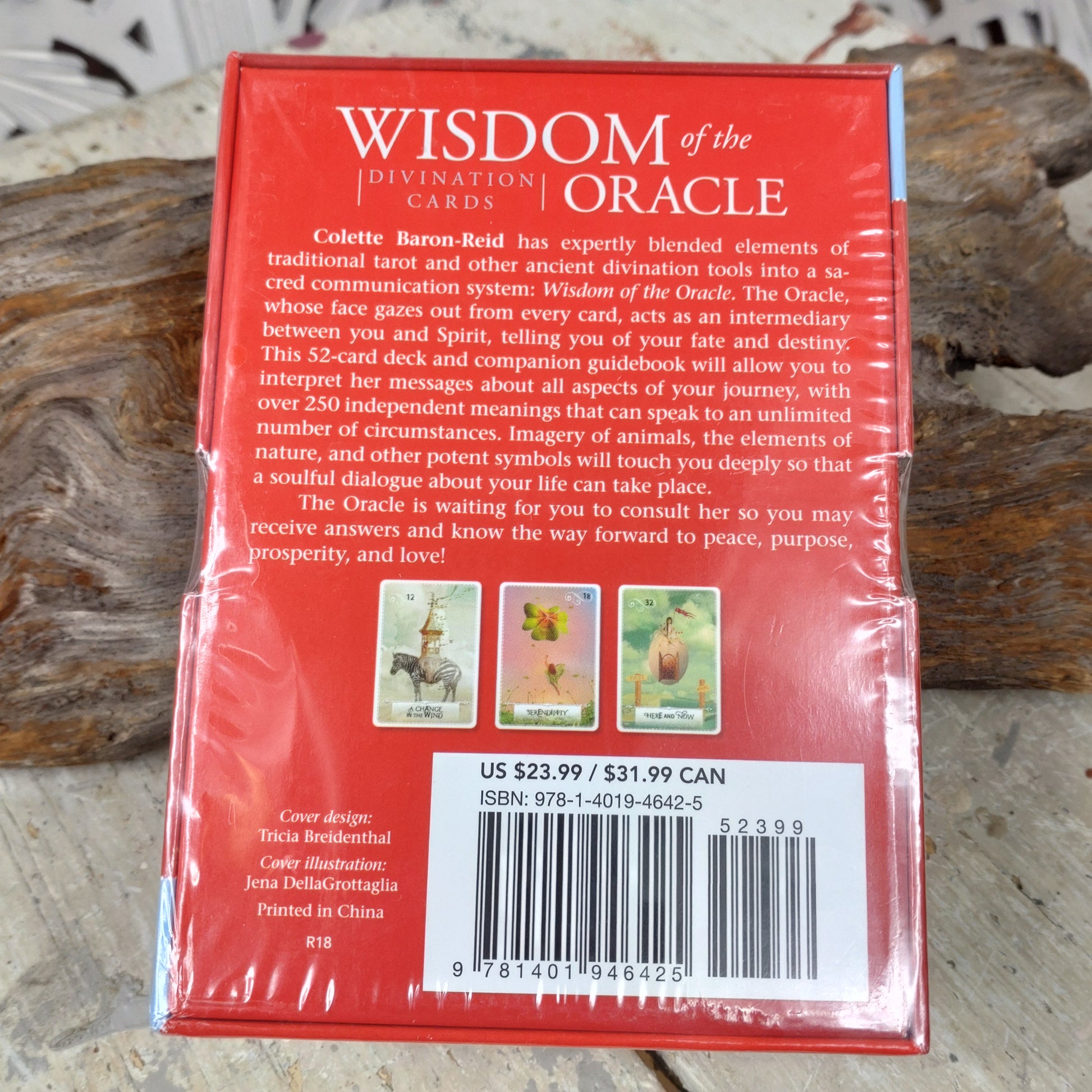 Wisdom of the Oracle DSC-4711