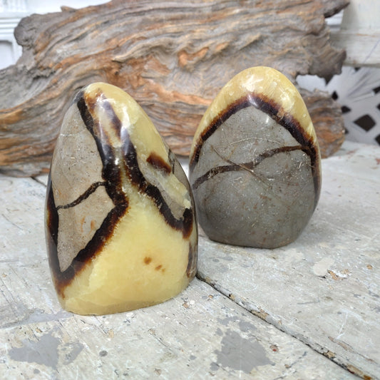 Septarian Drakägg friform DSC-5211