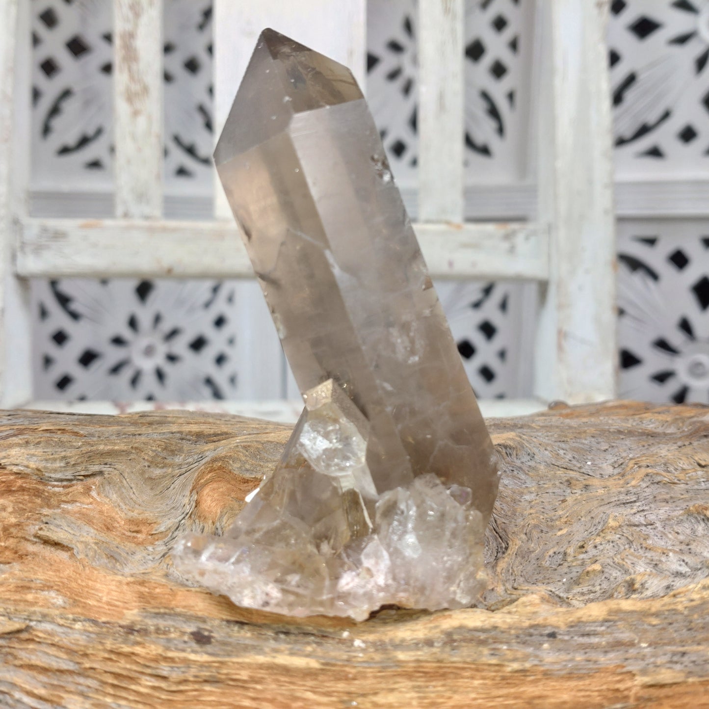 Rökkvarts spets
