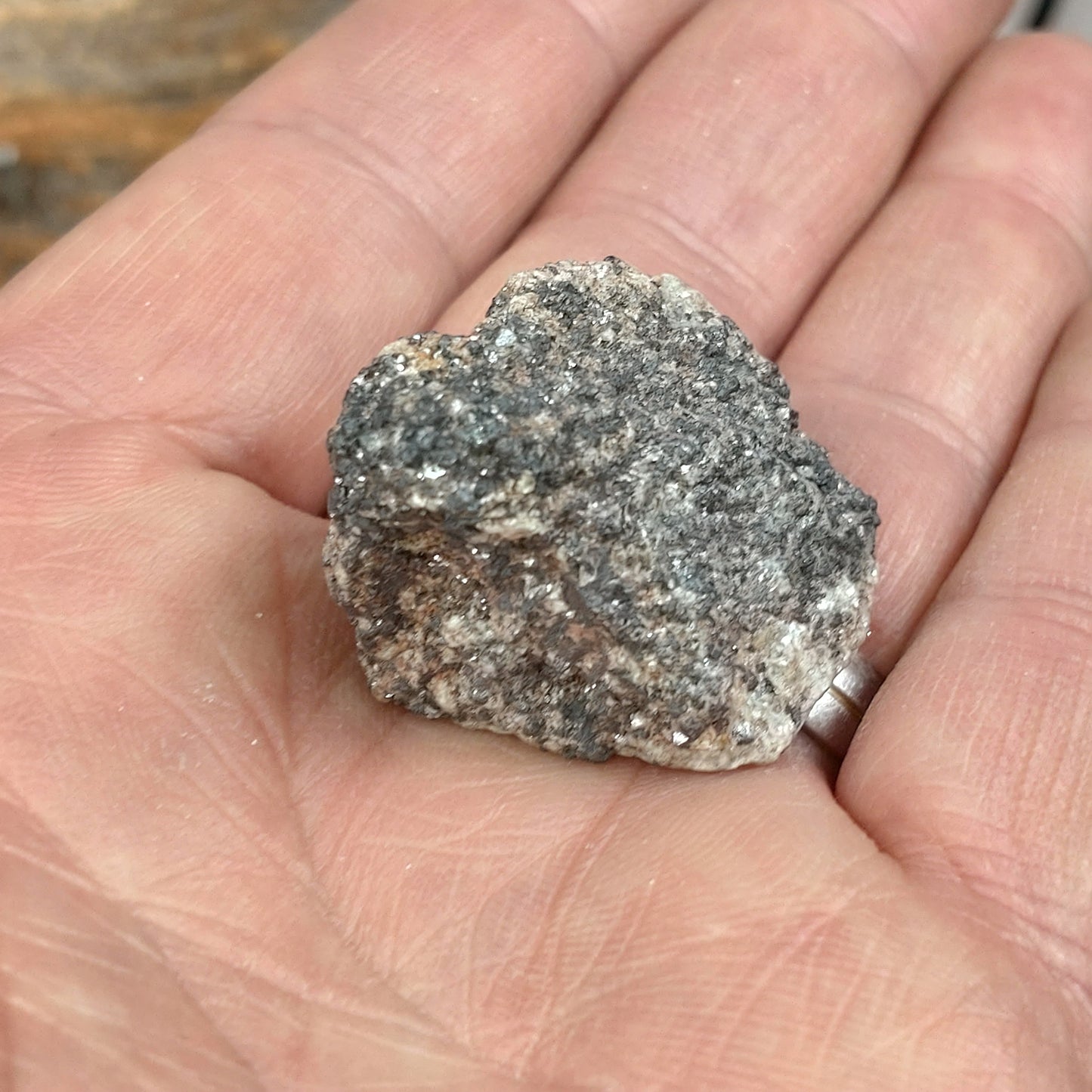 Magnetit i Matrix