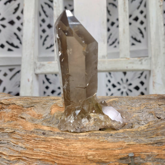 Rökkvarts spets