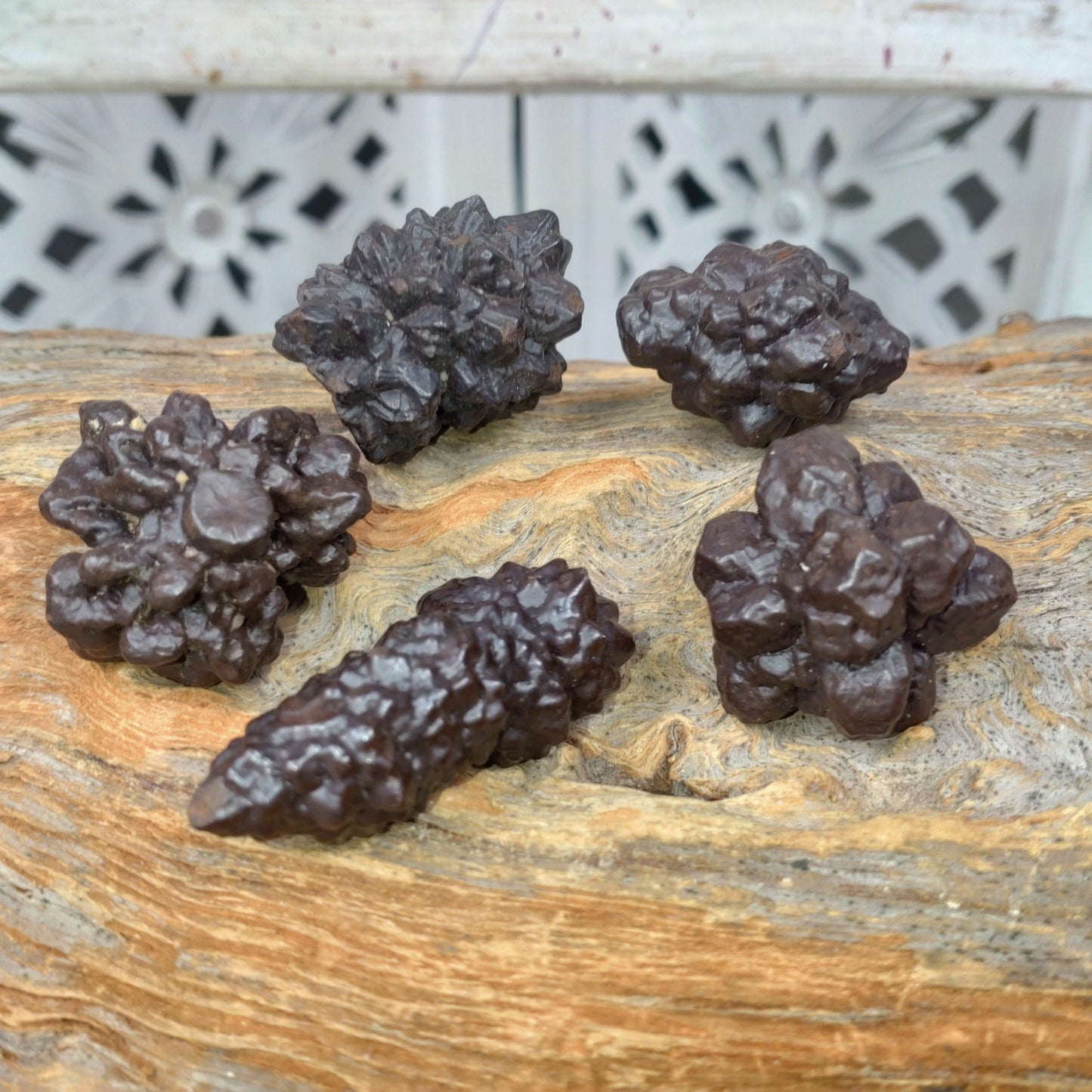 Profetstenen från Egypten