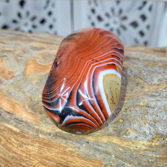 Sardonyx Handsten ✨