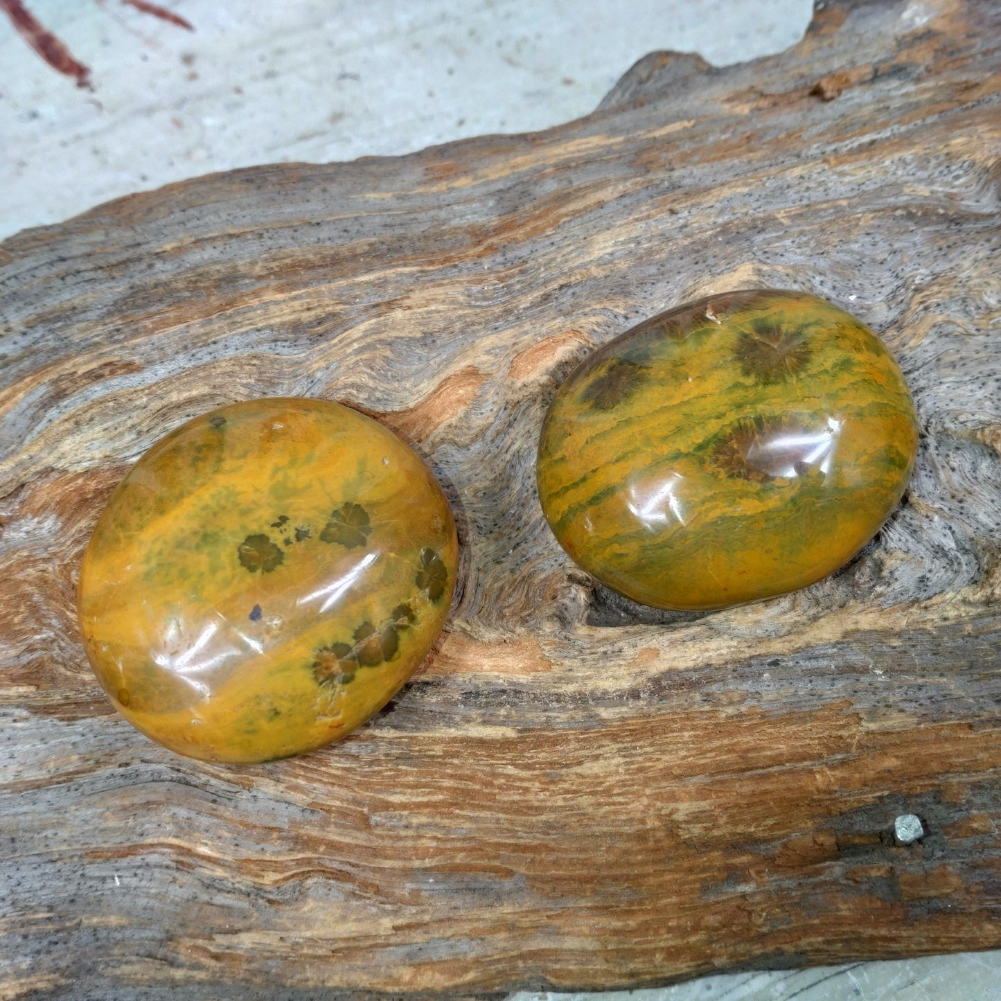 Ocean jaspis Handsten