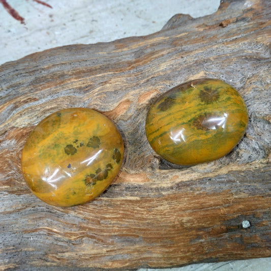 Ocean jaspis Handsten